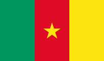 Quotidiani del Camerun